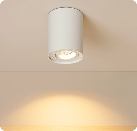ANOVA Surface Mount Downlight with CE certification for professional lighting.
