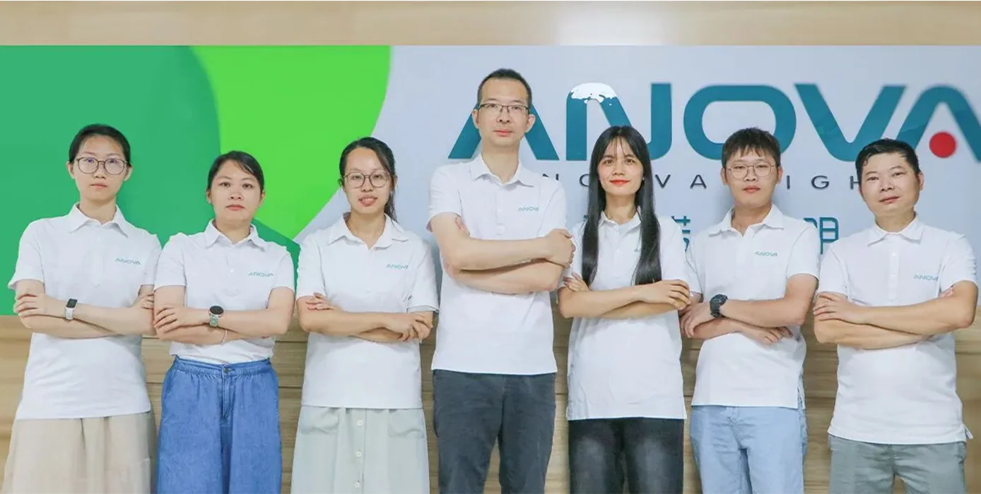 ANOVA LIGHTING professional sales team discussing lighting solutions